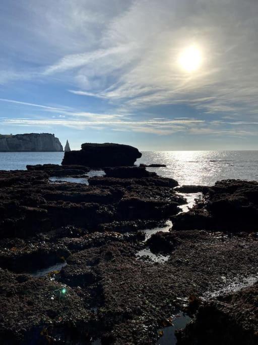 La Villa Lumaga Etretat Bagian luar foto