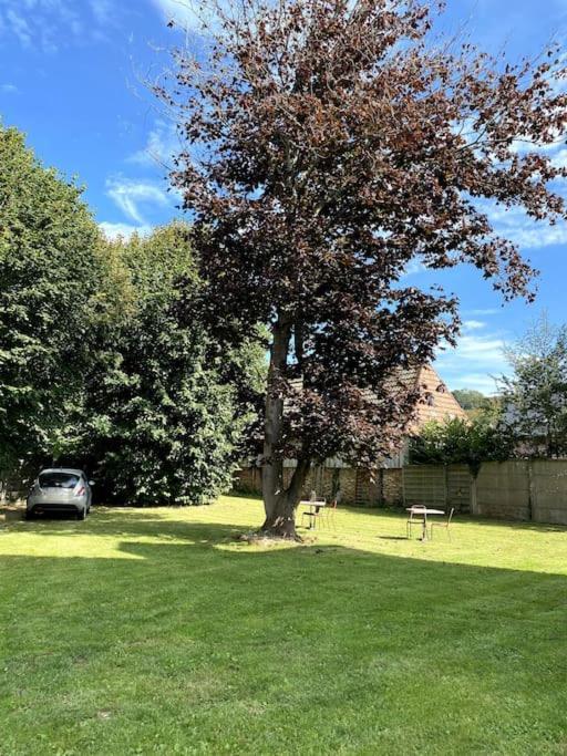 La Villa Lumaga Etretat Bagian luar foto