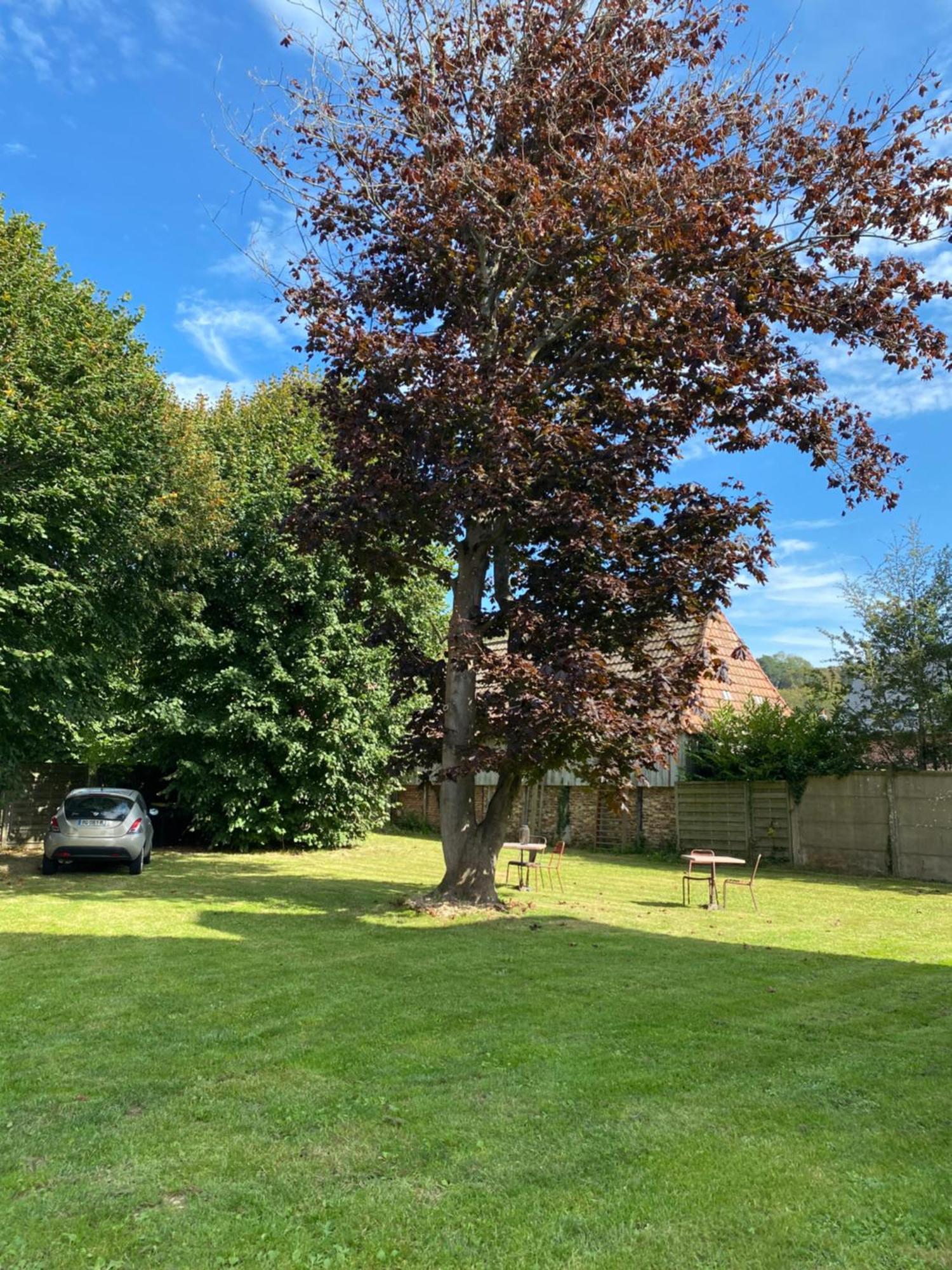 La Villa Lumaga Etretat Bagian luar foto