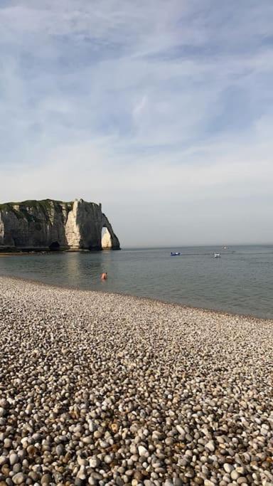 La Villa Lumaga Etretat Bagian luar foto